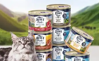 狗零食品牌权威排名与知名宠物食品品牌纵览