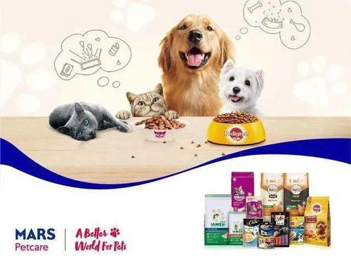 天津经开区吸收利用外资再创佳绩，宠物食品产业成亮点